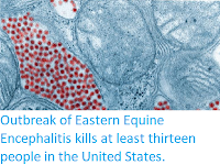 https://sciencythoughts.blogspot.com/2019/10/outbreak-of-eastern-equine-encephalitis.html