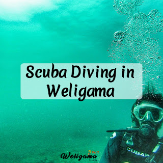Scuba Diving in Weligama | Things to Do & See in Weligama