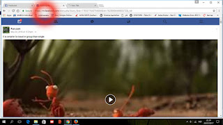  cara mendownload video dari facebook