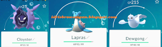 Lapras Dewgong Cloyster