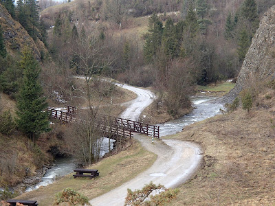 Pieniny, Rezerwat Biała woda, grzyby 2017, grzyby zimowe, grzyby w Pieninach