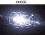 Lampu+HID+Motor+8000K