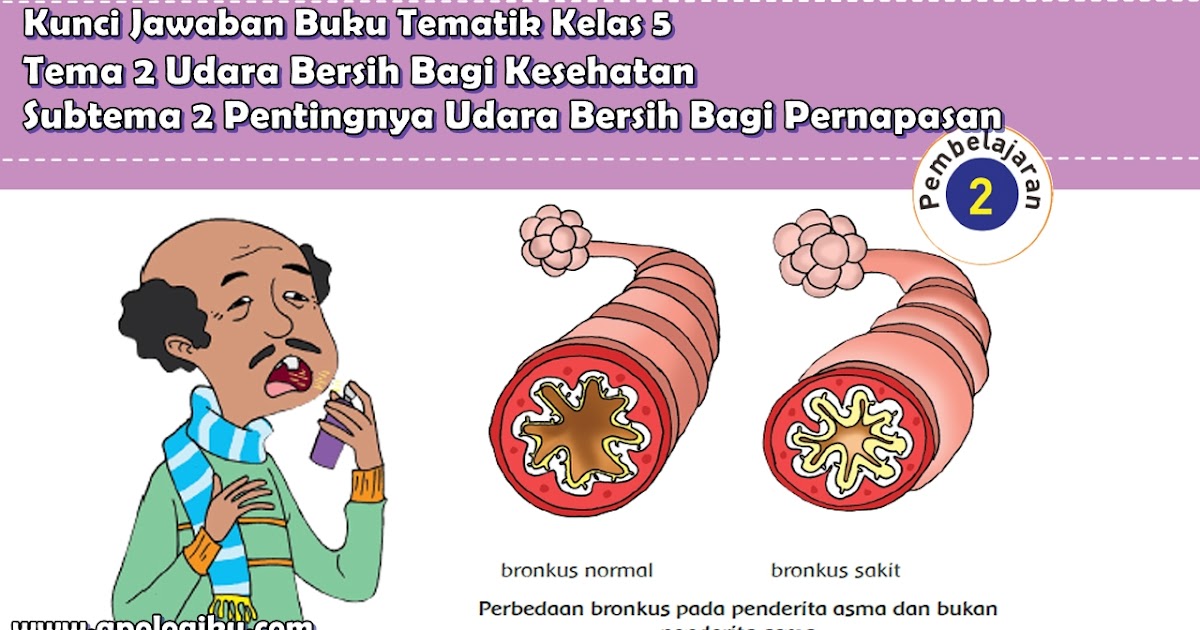 Kunci Jawaban Buku Tema 2 Kelas 5 Subtema 2 Pembelajaran 2