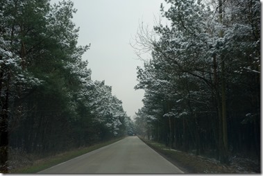 DSC08650