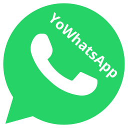 Yo whatsapp, YoWhatsApp APK 2021