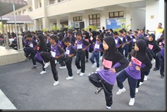Larian 1M1S1M 011