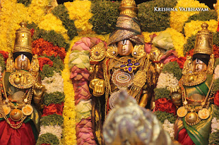 Thirumalai,Thirupati,  Tirumalai purappadu Sri Thiruvenkatamudaiyan Perumal, Malaiayappa swamy, Venkata Krishna , 2017, Video, Divya Prabhandam,Unjal,Utsavam,