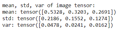 mean, standard deviation and variance of an image tensor in PyTorch