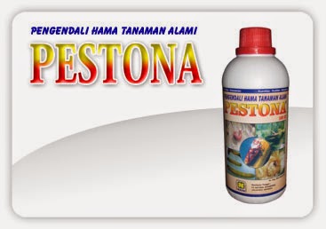 PESTONA merupakan formula pengendali organik bagi beberapa hama penting pada tanaman pangan, hortikultura dan tahunan, hasil ekstraksi dari berbagai bahan alami