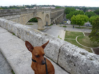 モンペリエ　アルソーの水道橋 MONTPELLIER : AQUEDUC DES ARCEAUX