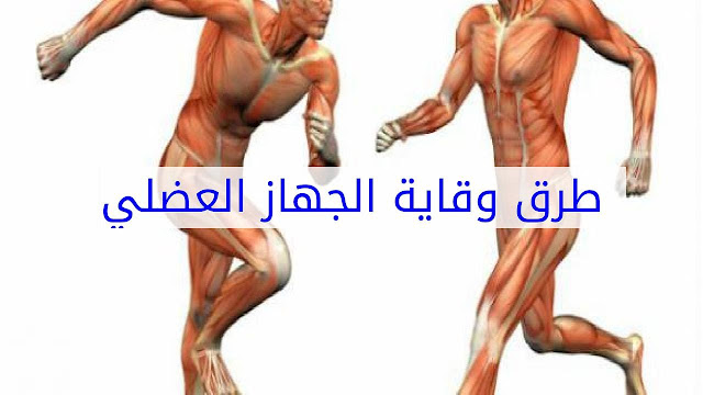 طرق وقاية الجهاز العصبي من الأمراض