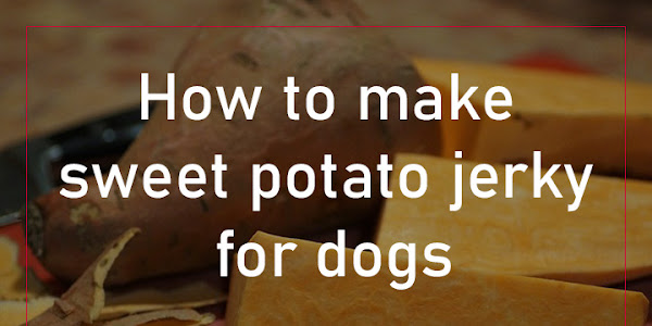 How to make sweet potato jerky for dogs