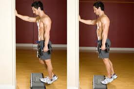 Dumbell Calf Raise