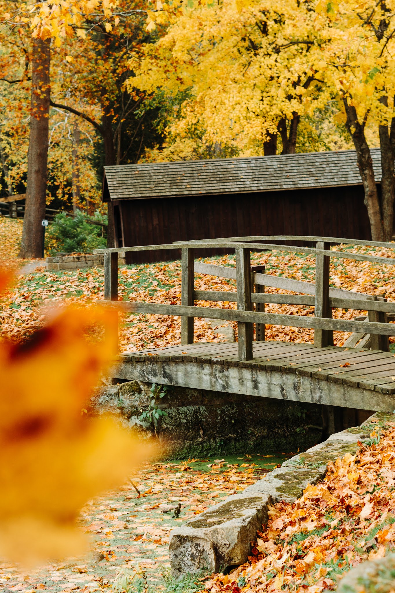 traveling through Ohio for the fall foliage