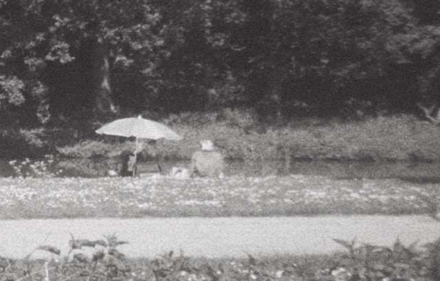 Vissers onder parasol, park Rosorum, Zevenaar - uitsnede