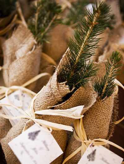 Great for a more rustic winter wedding tree saplings are ecofriendly and 