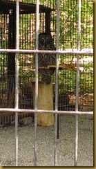 WP_20140617_014