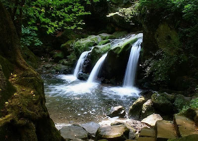 Heavenly Landscapes of Waterfall Around the World