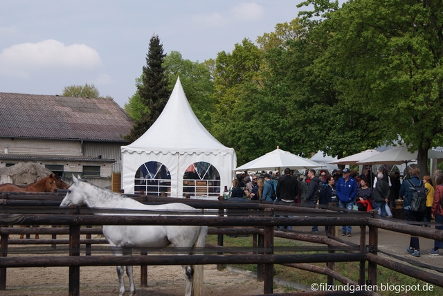 Gartenmarkt mit Pferden im Hofgut Kranichstein