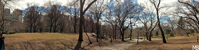 central park primavera new york