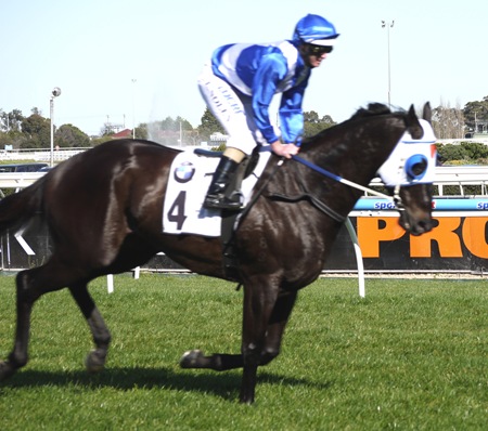 race 5_strawberry boy