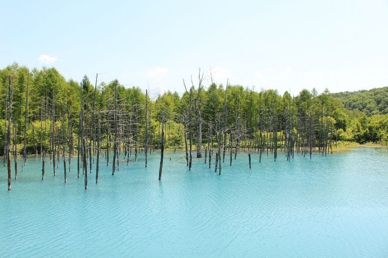 blue-pond-4 blue-pond-4