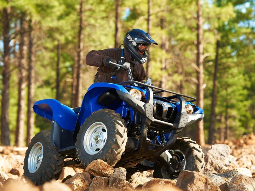 2014 Yamaha Grizzly 450 Auto. 4x4 Pictures, Images, Gallery, Photos and Wallpapers