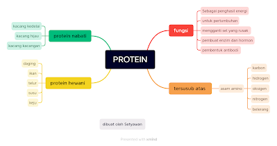 Protein