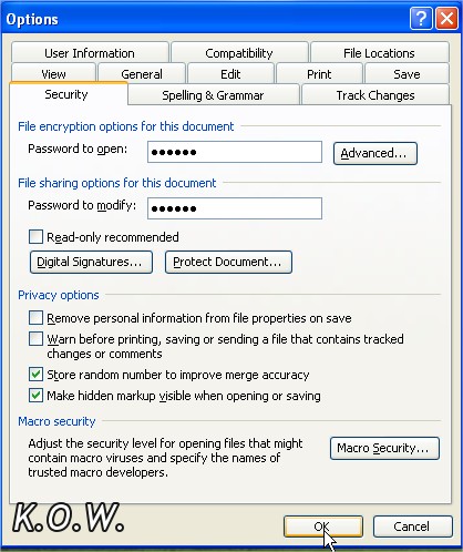 Microsoft Word Password