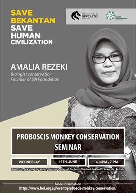 Proboscis Monkey Conservation