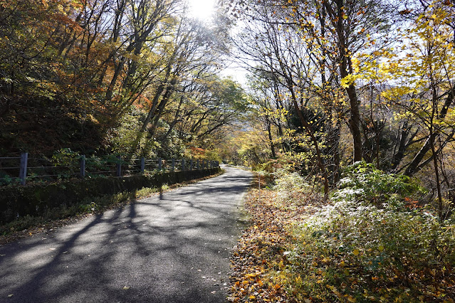 鳥取県西伯郡大山町 大山環状道路