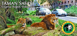Daftar Tempat Wisata Menarik Di Puncak Bogor