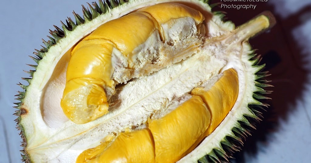 pesta durian 2017 malaysia