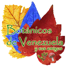 Botanica En Venezuela Plantas Muy Utiles Para Nosotras