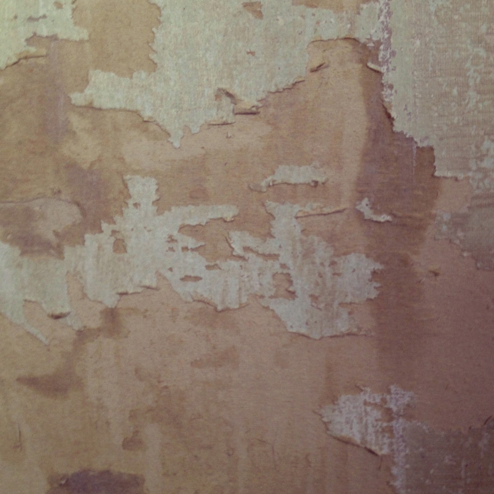 ... going along, scraping the old 70's wallpaper and sizing off the wall