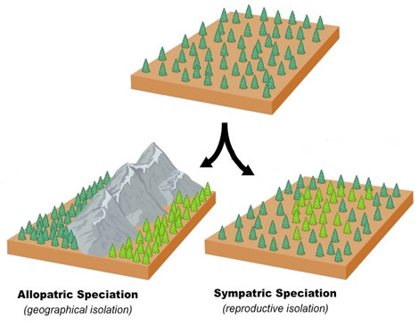 Species and Speciation