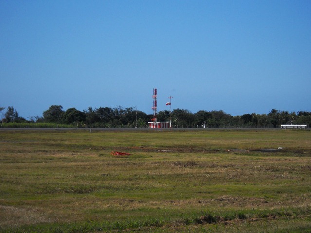 DSCN6882