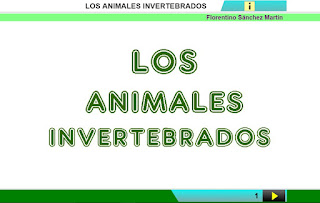  invertebrados