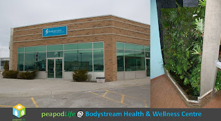 PeapodLife @ Bodystream Health & Wellness Centre in Barrie, Ontario, Photos 2013 