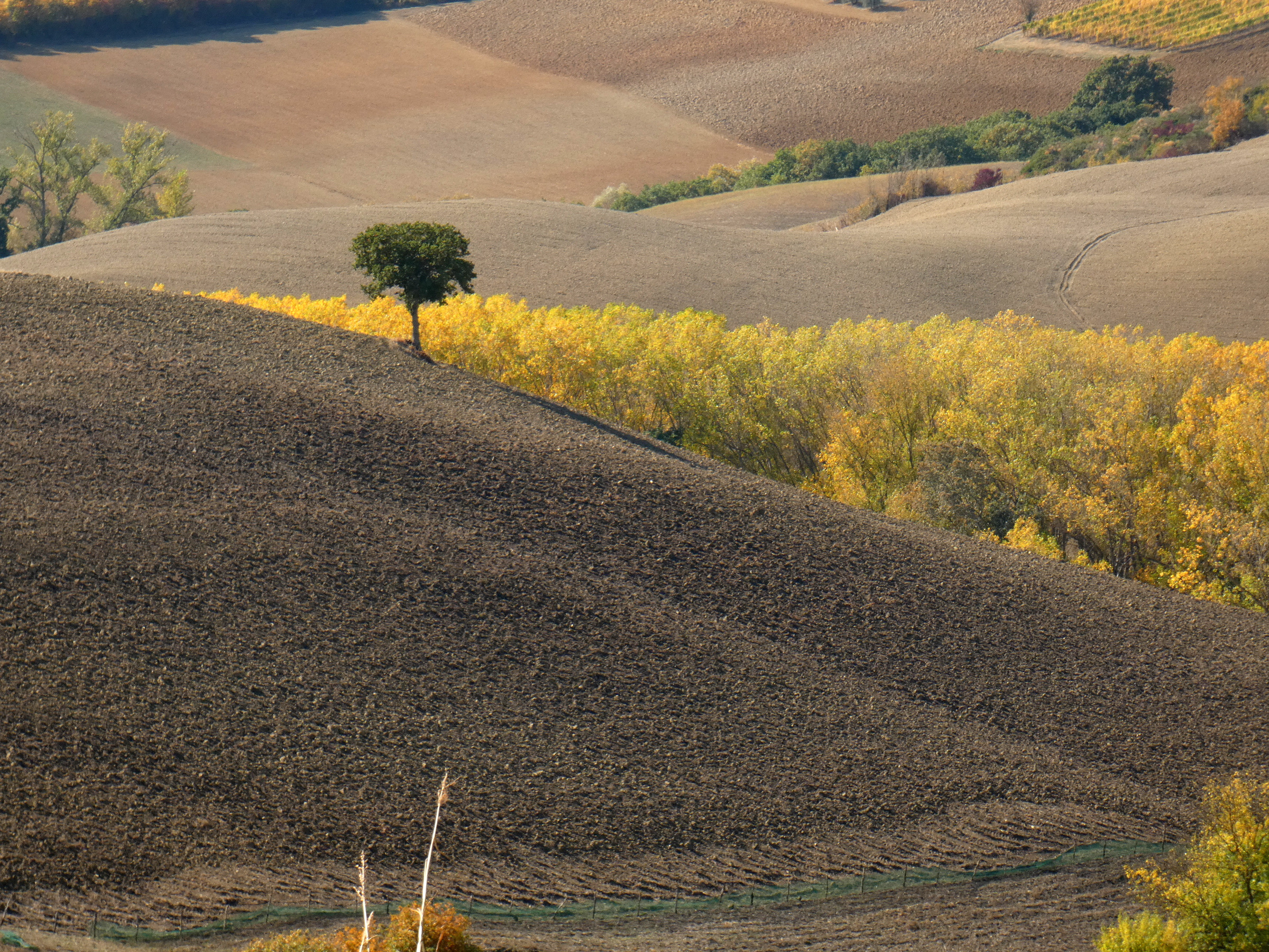 Sincerely Loree:  Autumn in Val d'Orcia, Tuscany, Italy