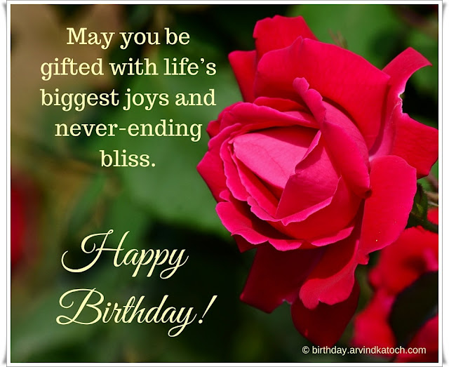 Beautiful, Red Rose, Birthday Card, gifted, life, biggest, joys