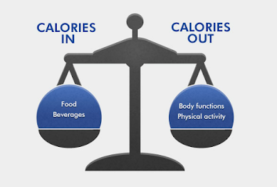 Bodybuilding Diet: How Many Meals Should Be Eating A Day?