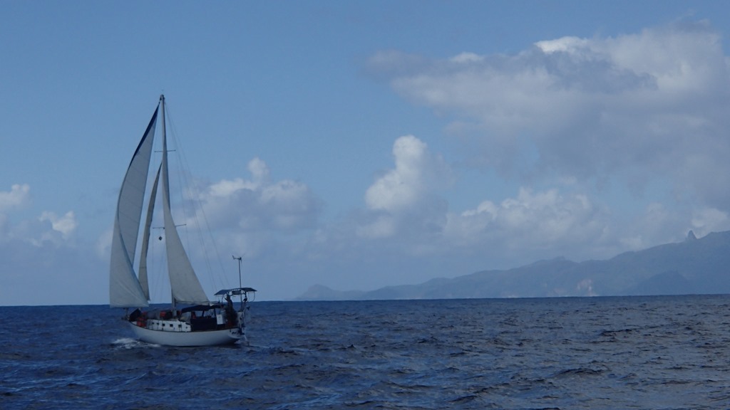P6020694