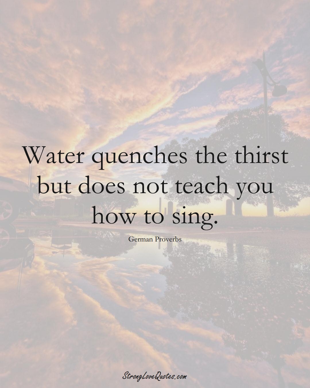 Water quenches the thirst but does not teach you how to sing. (German Sayings);  #EuropeanSayings
