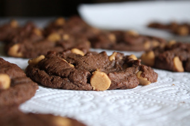 Chocolate Peanut Butter Biscuits favourites