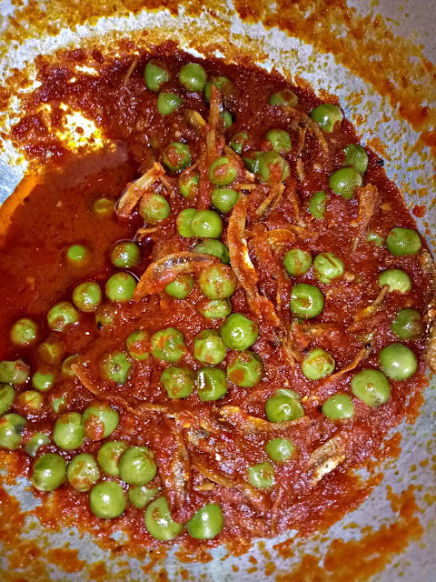  KHASIAT TERUNG PIPIT, menu berbuka puasa, MENU MASAKAN KAMPUNG, MENU TENGAHARI, resepi, RESEPI SAMBAL BILIS TERUNG PIPIT, SAMBAL BILIS TERUNG PIPIT, 