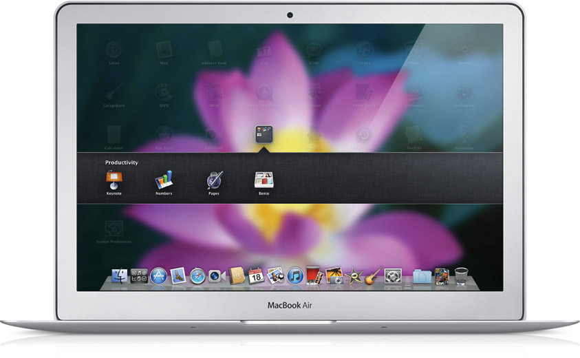 lion_springboard2_20101020.jpg