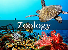 Zoology: MCQ- B.Sc.I/II/III Examination March/April-2023   ( I-VI Semesters)