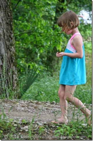 IMG_5164 (527x800)