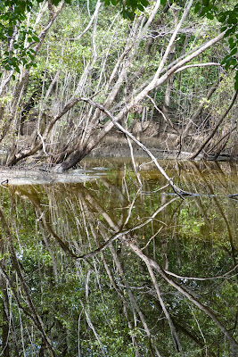 Sendero Seco